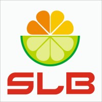 SLB FLAVOURS & INGREDIENTS PRIVATE LIMITED logo - Similar company to Chhota Hazri Spirits