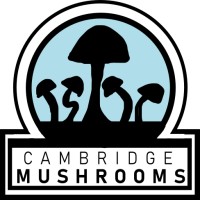 Cambridge Mushrooms logo - Similar company to Buxton Potato Co