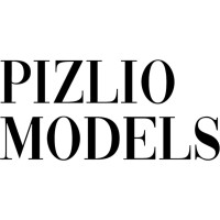 Pizlio Models logo - Similar company to Jyotin Architects