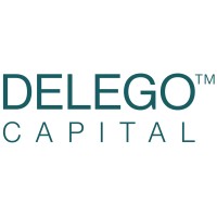Delego Capital logo - Similar company to Infomerics Analytics & Research