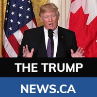 The Trump News logo - Similar company to Trump Latest