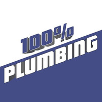100% Plumbing Houston logo - Similar company to Emergency Plumbing Solution