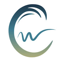 Cresting Wave logo - Similar company to Bizzity