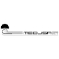 Medusa I.C.T. logo - Similar company to Boschi • Argenti E Preziosi