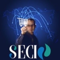Servicios Especializados en Comercio e Inversión logo - Similar company to Bisnezlink México