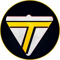 Trigent Technologies Pvt Limited logo - Similar company to Netelsoft