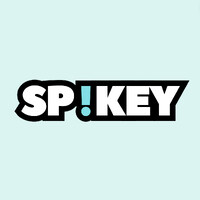 Spikey logo - Similar company to Spikey Solutions