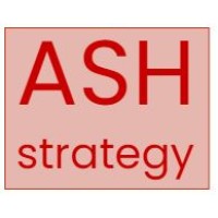 ASH Strategy logo - Similar company to Transformative Leadership Consulting Llc
