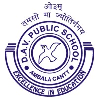 DAV Riverside logo - Similar company to Prime Educare