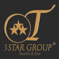 3Star Group™ logo - Similar company to Frintronic