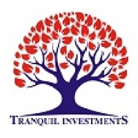 Tranquil Investments logo - Similar company to Custodiam Technical Services