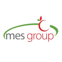 MES Group SA logo - Similar company to Esseph