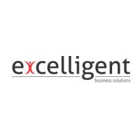 Excelligent Business Solutions logo - Similar company to Nitipravh