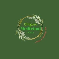chiguru medicinal plants-hyd logo - Similar company to Stone Fox Ventures