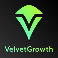 VelvetGrowth | Web Design & Development logo - Similar company to Nutsandwoods