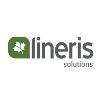 Lineris Solutions logo - Similar company to Assistantbot