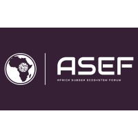 ASEF Africa logo - Similar company to Kwce Telecoms