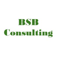 BSB Consulting LLC logo - Similar company to Bsb Consulting