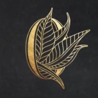 Olga Shatrova Jewelry logo - Similar company to Ardavan Anoosh Academy