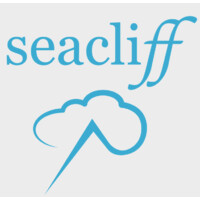 Seacliff Sales Accelerator logo - Similar company to Beyond Pulse