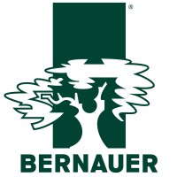 Madeireira Bernauer logo - Similar company to Mademape Industria Madeireira Ltda