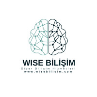 Wise Bilişim logo - Similar company to Targon Bilgi Güvenliği