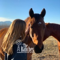 The New Mexico Boys & Girls Ranch logo - Similar company to Cfbtel