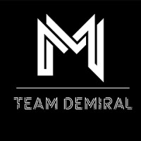 Team Demiral logo - Similar company to Team Demiral