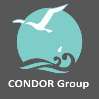 Condor Group logo - Similar company to Tripginny