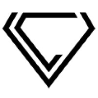 vClusive logo - Similar company to Vmobo Inc.