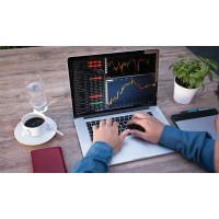 Forex Trading for Beginners logo - Similar company to Forex Broker Directory