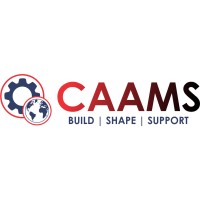 CAAMS IT Services LLP logo - Similar company to Planet Web It Services