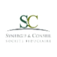 Synergie et Conseil Synco S.A. - Genève logo - Similar company to Project Interim