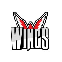 Aberdeen Wings logo - Similar company to Adams Radio Group-Northern Indiana