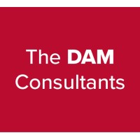 The DAM Consultants logo - Similar company to Yes Link Store Llc