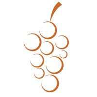 Brown Grape Technologies logo - Similar company to Aeronav