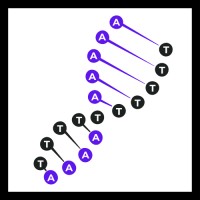 anatony AI logo - Similar company to Boostenx Ai