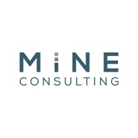 Mine Consulting - software su misura logo - Similar company to C.E.R.M.E. Srl
