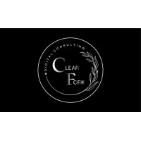 Clear Fork Digital Consulting logo - Similar company to Lyen Consulting