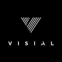 Visial logo - Similar company to Visial