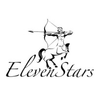 ElevenStars logo - Similar company to Drtamin