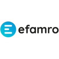 EFAMRO logo - Similar company to Rao-Digital