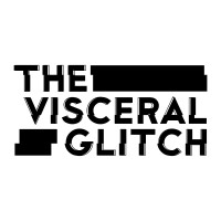 The Visceral Glitch logo - Similar company to Dan'S Hamptons Media