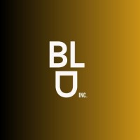 Blu Inc. Design Studios logo - Similar company to Appropriate Design Ltd