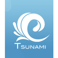 Tsunami Studios LLC logo - Similar company to 57Digital Ltd