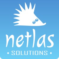 Netlas Solutions logo - Similar company to Hila Open Oy