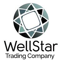 WellStar International Trading Limited logo - Similar company to Metropolis Security
