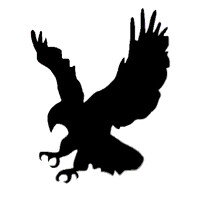 Secure-Pro Live Monitoring and Mobile Patrols logo - Similar company to Nexus Support