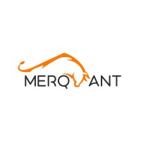 MerQuant logo - Similar company to Had Design