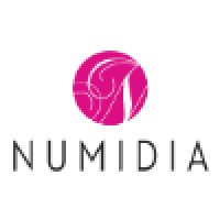 NUMIDIA BV logo - Similar company to Hermansvliegenarchitecten